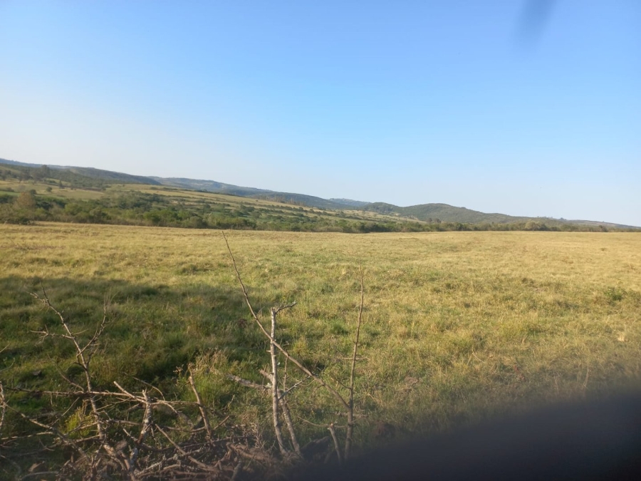Commercial Property for Sale in Komga Rural Eastern Cape